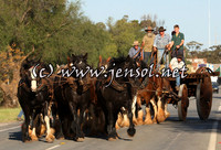 barellanthurs_0057
