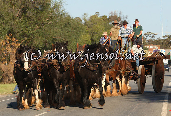 barellanthurs_0057