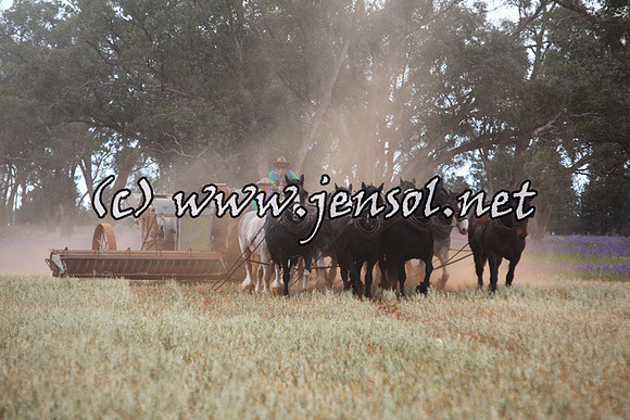 barellansat5d_0616