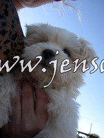 kjs_backup_0008