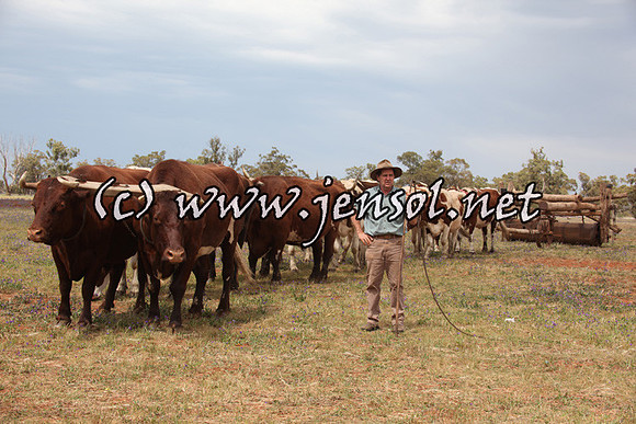 barellansat5d_0555