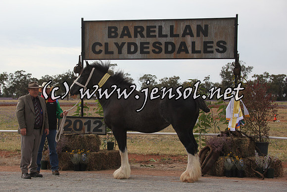 barellansat5d_0500
