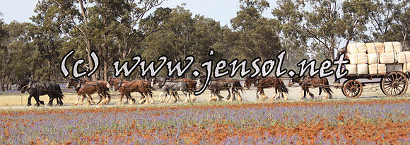 barellanfri50d_0114