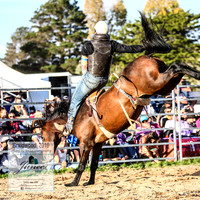 BraidwoodRodeo2019_2667