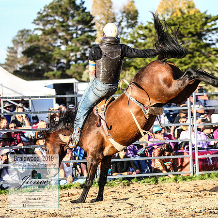 BraidwoodRodeo2019_2667