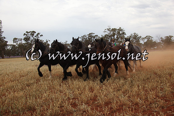barellansat5d_0591