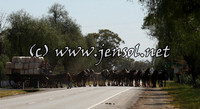 barellanfri1d_0054