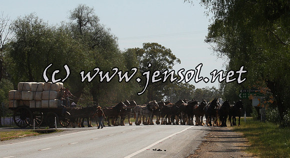 barellanfri1d_0054