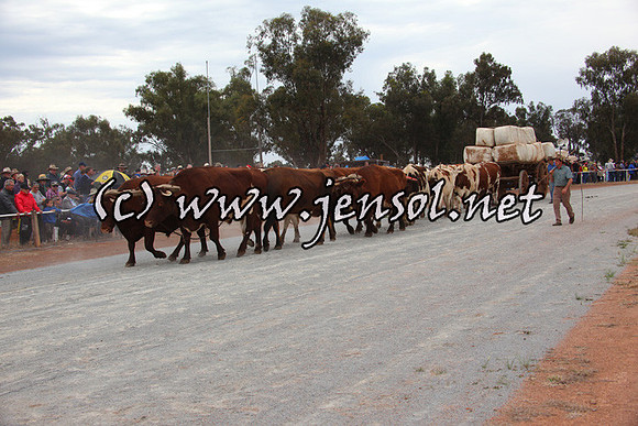 barellansat5d_0659