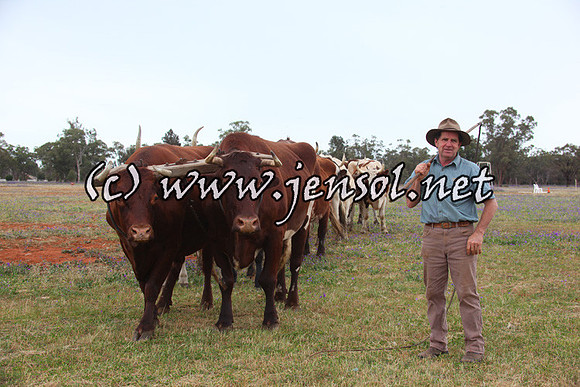 barellansat5d_0579
