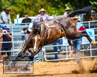 TaralgaRodeo2019_8371