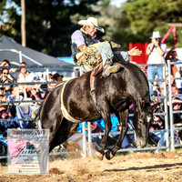 BraidwoodRodeo2019_2644
