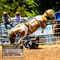 TaralgaRodeo2019_6458