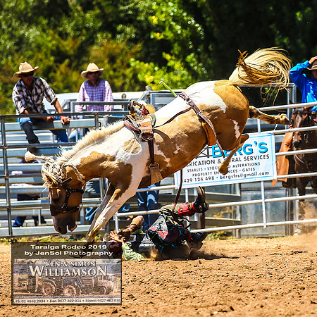 TaralgaRodeo2019_6458