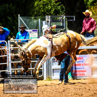TaralgaRodeo2019_6449