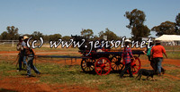 barellanfri1d_0040