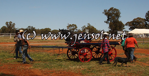 barellanfri1d_0040
