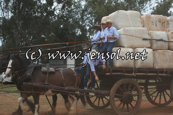 barellansat1d_0071