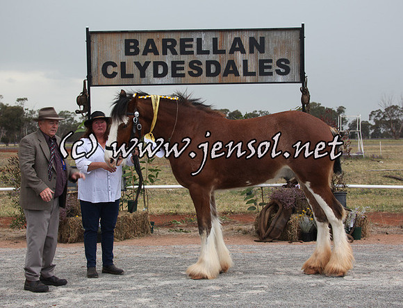 barellansat5d_0513