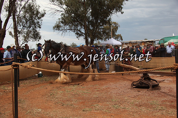 barellansun5d_0111