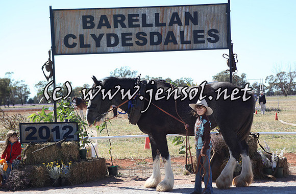 barellansun5d_0017