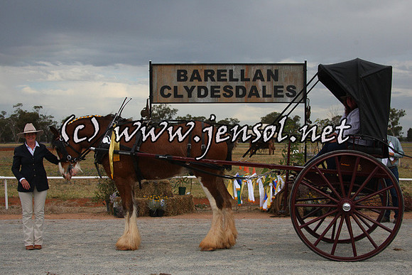 barellansat1d_0154