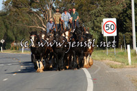 barellanthurs_0075