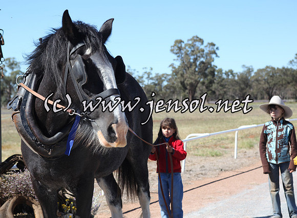 barellansun5d_0020