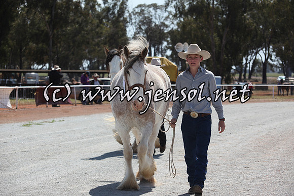 barellansat5d_0521