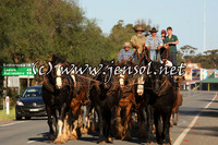 barellanthurs_0067
