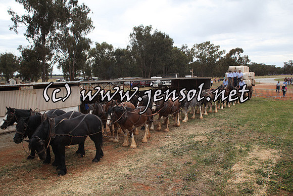 barellansat5d_0737