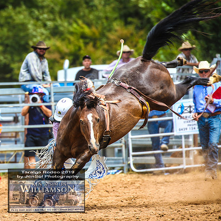 TaralgaRodeo2019_8370