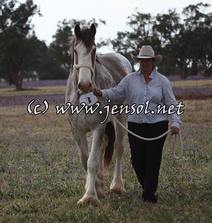 barellansat5d_0506