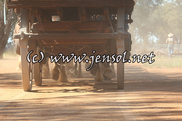 barellanfri1d_0149