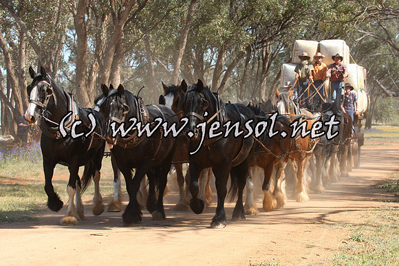 barellanfri1d_0124