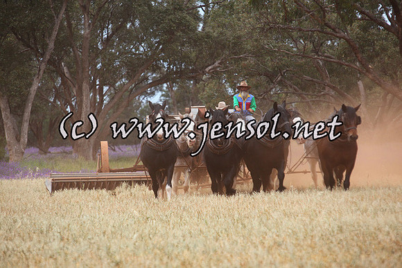 barellansat5d_0598