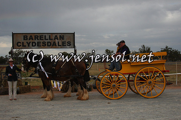 barellansat1d_0163