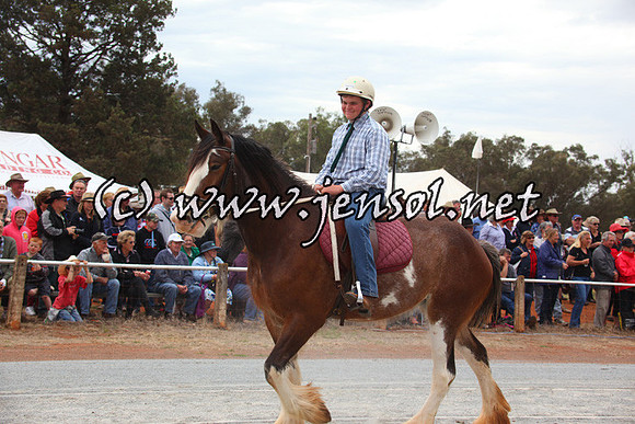 barellansat5d_0640