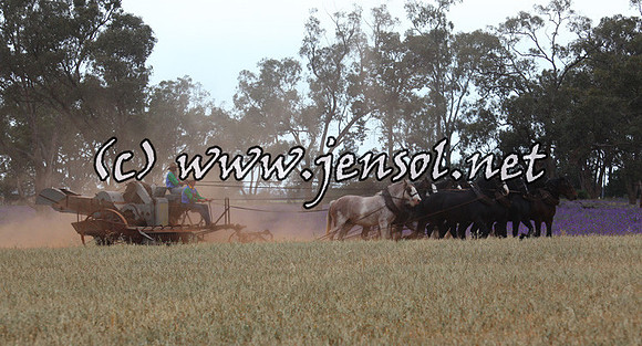 barellansat5d_0615