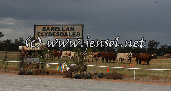 barellansat1d_0088