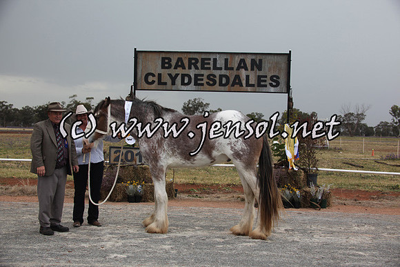 barellansat5d_0517