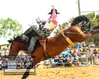 JindabyneRodeo2019_3335