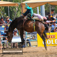 JindabyneRodeo2019_3414