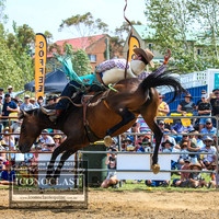 JindabyneRodeo2019_3393