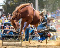 JindabyneRodeo2019_3477