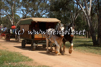 barellanfri1d_0016