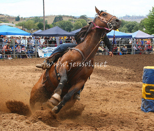 TaralgaRodeo2013One_0217_edited-1