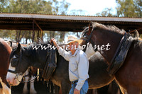 Barellan2015_0334