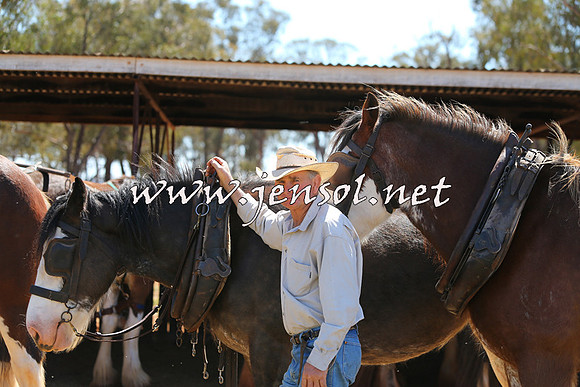 Barellan2015_0334