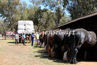 Barellan2015_0326